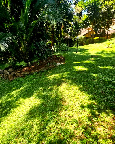 KSh 270M Muthaiga Land Deal