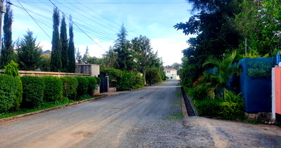1.1-Acre Karen Plot at 47M