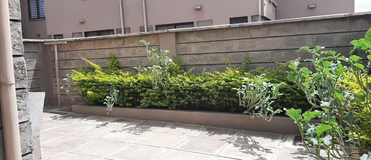 5-Bedroom Townhouse with DSQ & Private Garden - Syokimau