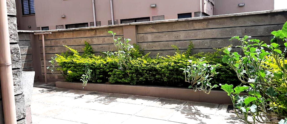 5-Bedroom Townhouse with DSQ & Private Garden - Syokimau