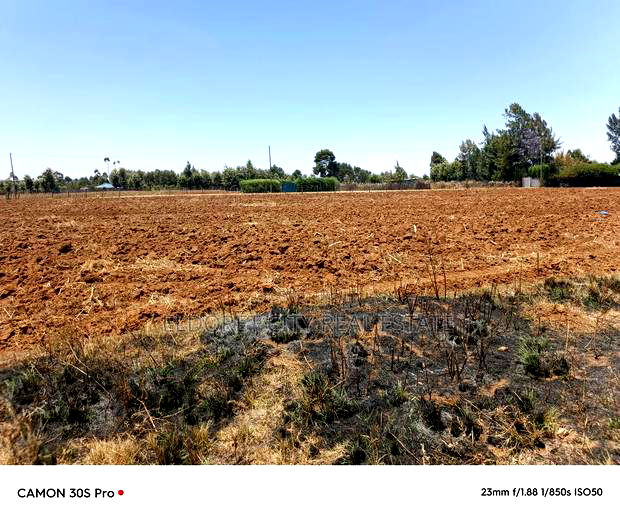 1/2 Acre Kiplombe Touching Tarmac