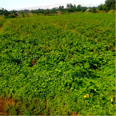 50x100 Plot Kangundo Rd Titled - Image 2