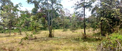 KSh 350M Garden Office Space
