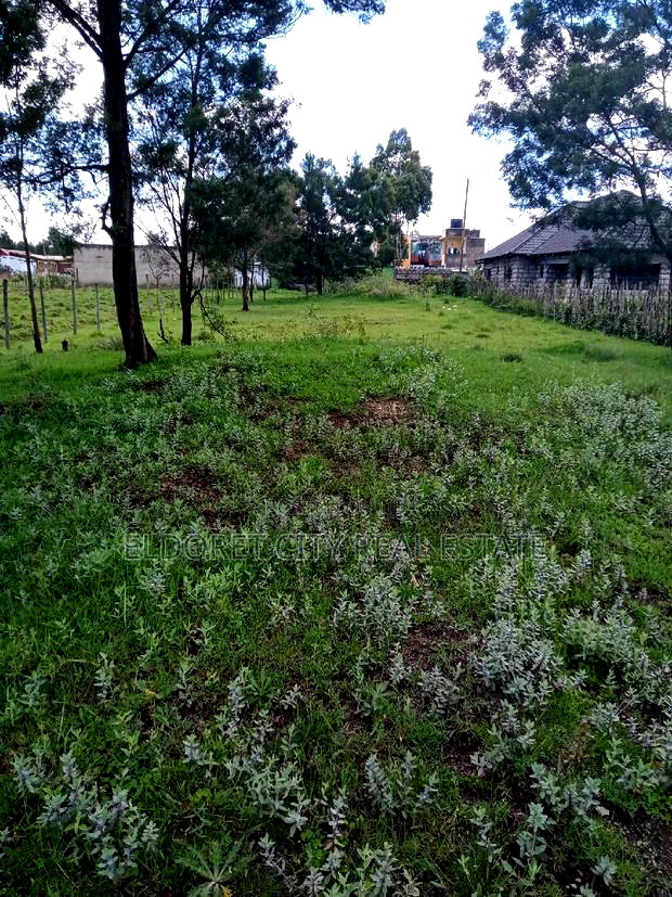 1/4 Plot Annex Rolyton With Title 200metres From Tarmac