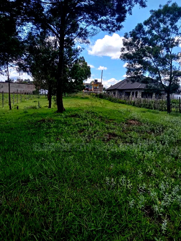 1/4 Plot Annex Rolyton With Title 200metres From Tarmac