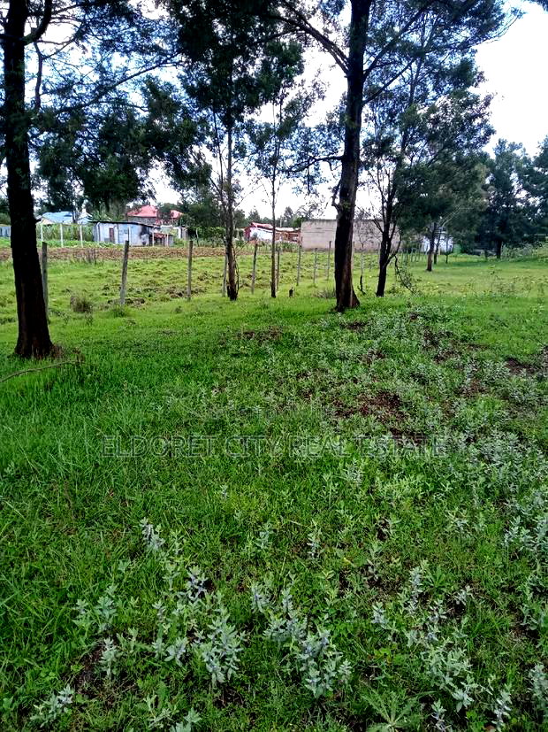 1/4 Plot Annex Rolyton With Title 200metres From Tarmac