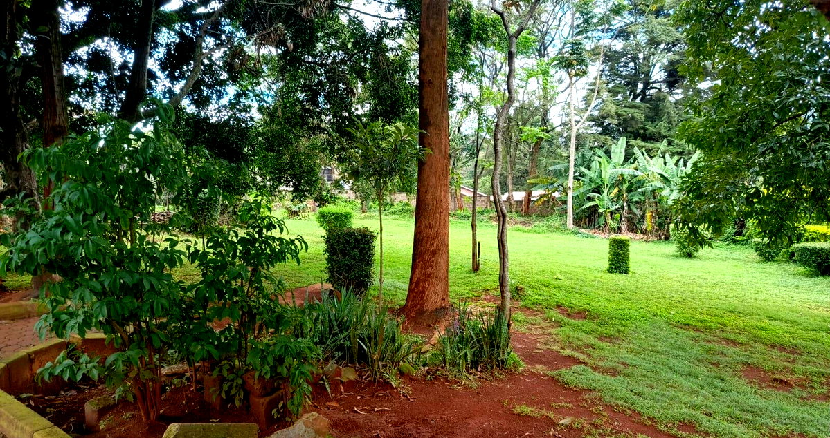 6BR Haven with Garden at KSh 650K