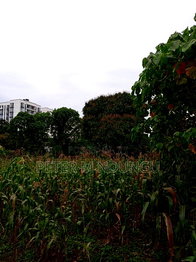 Prime Land on Sale 1/4 Acre Ruaka - Image 8