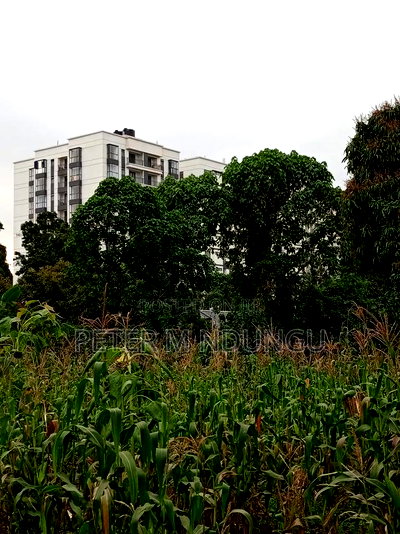 Prime Land on Sale 1/4 Acre Ruaka - Image 6