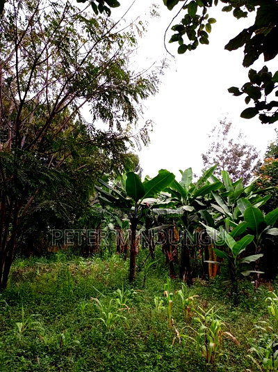 Prime Land on Sale 1/4 Acre Ruaka - Image 2