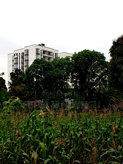 Prime Land on Sale 1/4 Acre Ruaka - Image 7