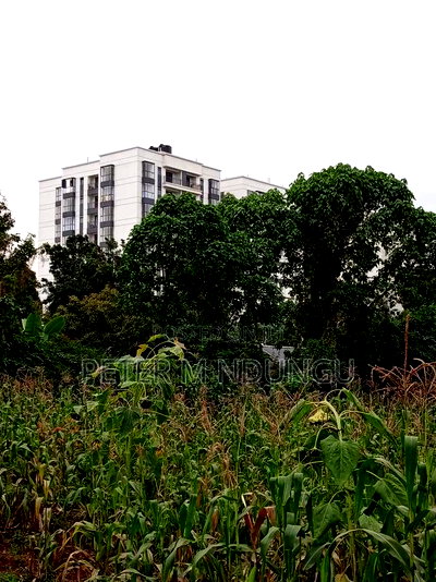 Prime Land on Sale 1/4 Acre Ruaka - Image 4