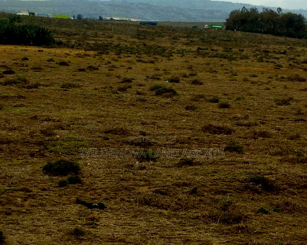 3 Acre on Sale at Longonot Naivasha