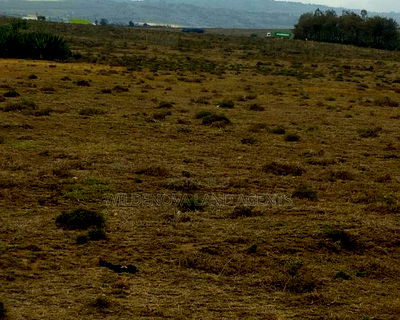 3 Acre on Sale at Longonot Naivasha - Image 2