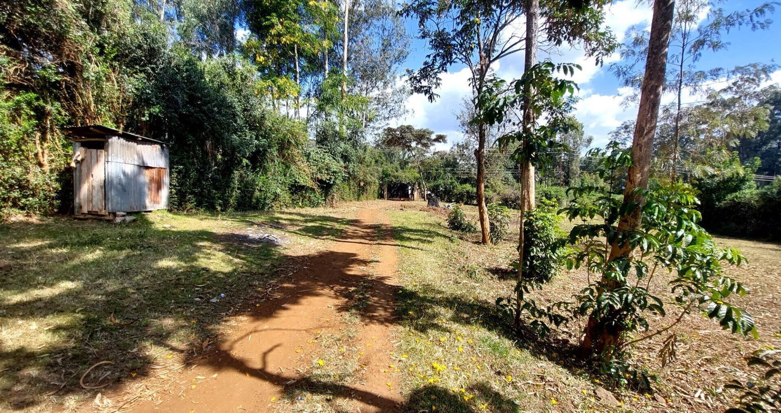 1 Acre Garden Plot in Karen