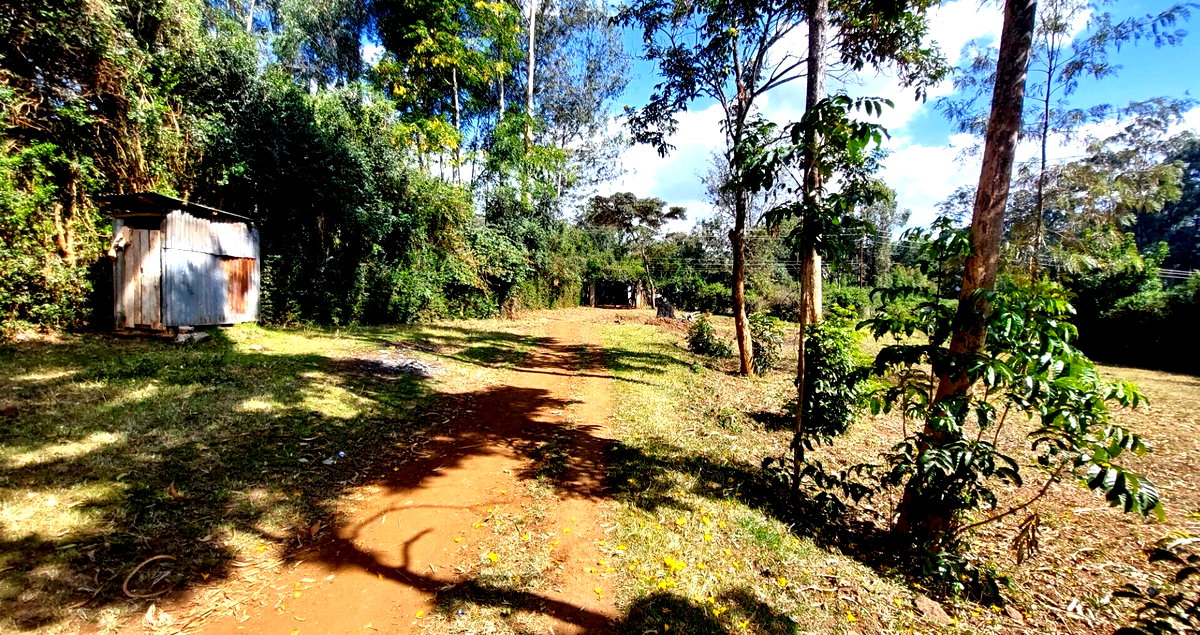 1 Acre Garden Plot in Karen