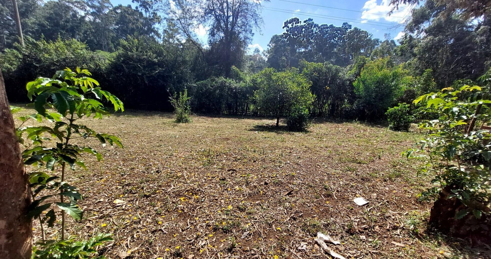 1 Acre Garden Plot in Karen