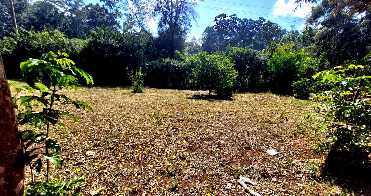1 Acre Garden Plot in Karen