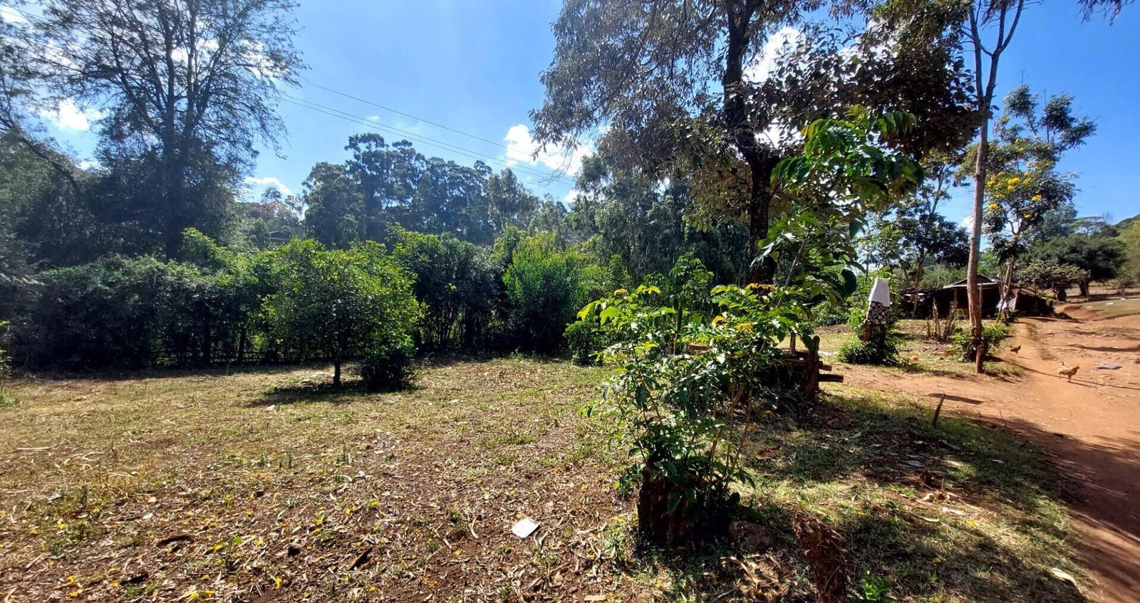 1 Acre Garden Plot in Karen