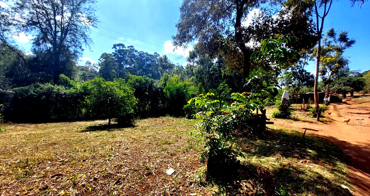 1 Acre Garden Plot in Karen