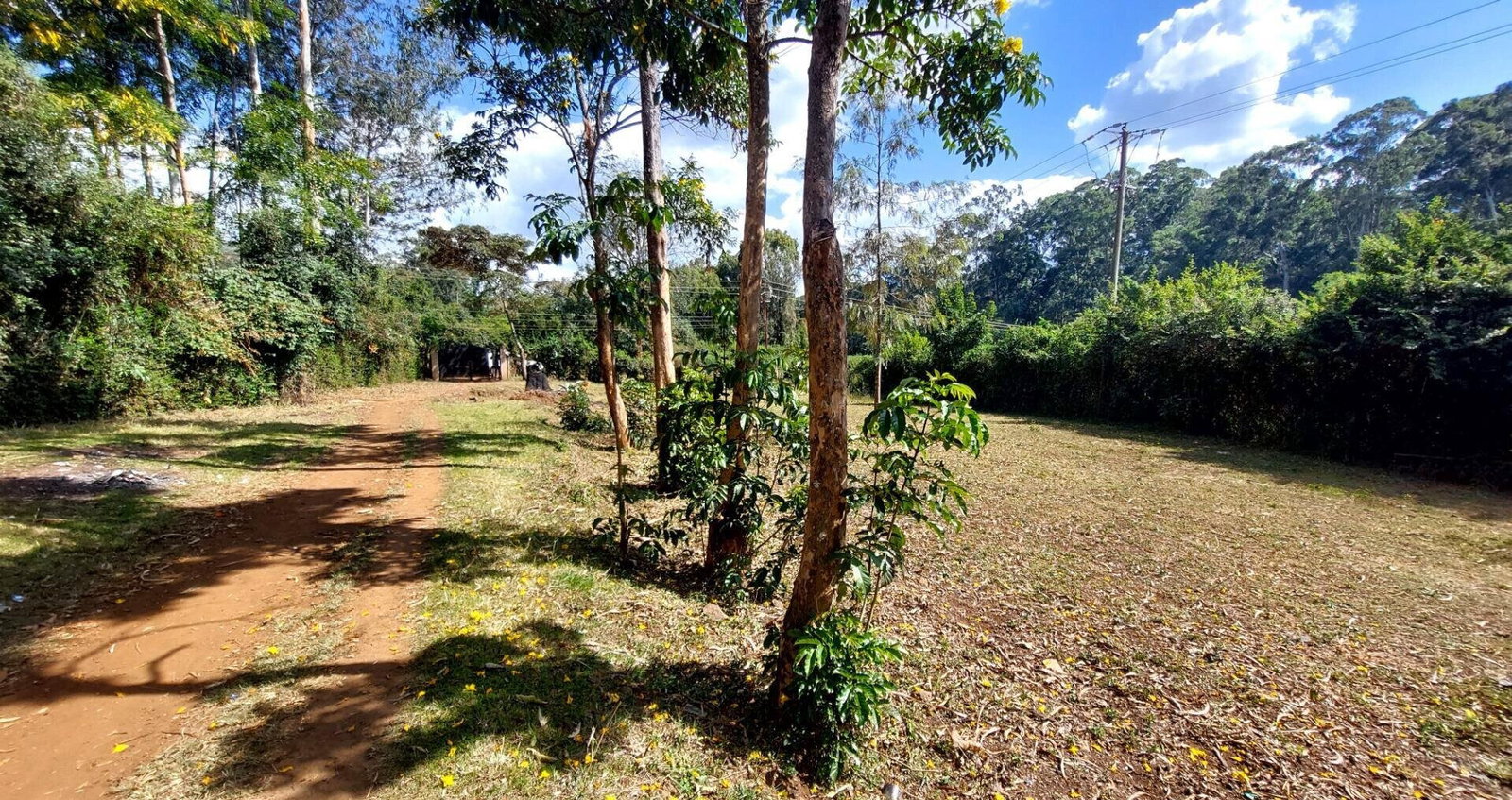 1 Acre Garden Plot in Karen