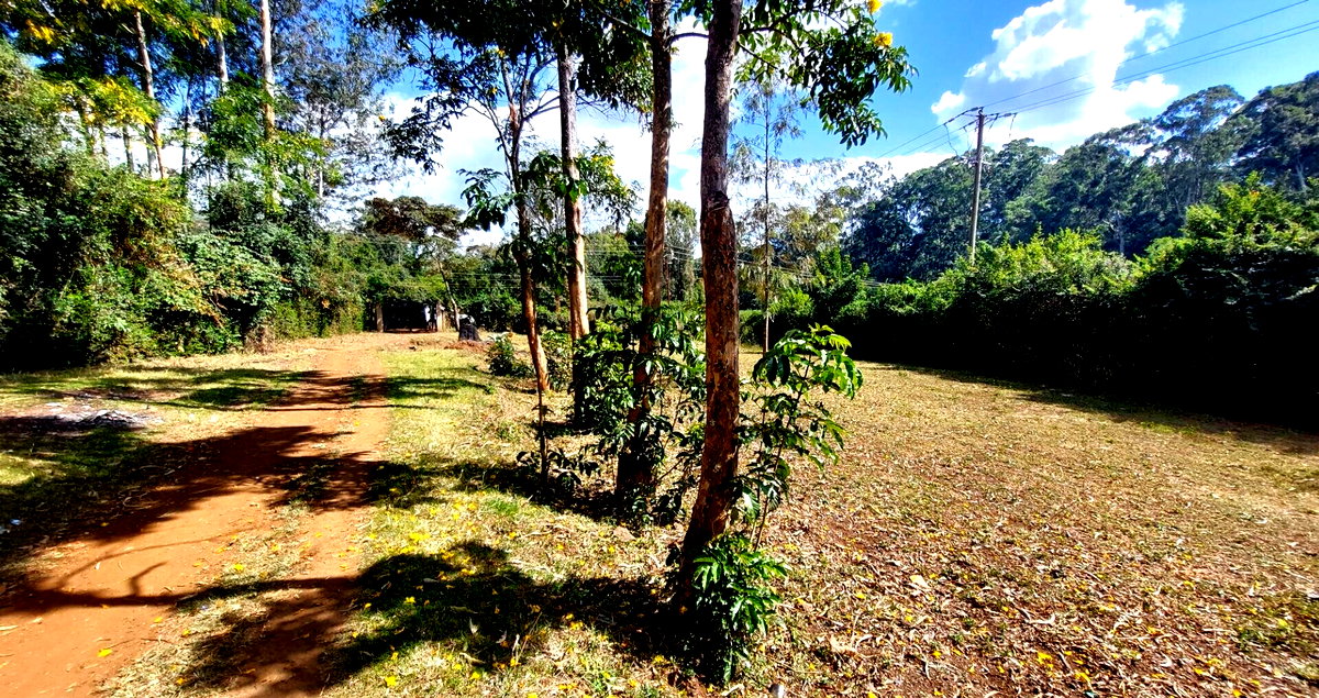 1 Acre Garden Plot in Karen