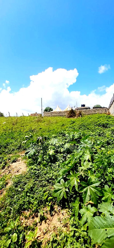 For Sale 2 Plots Mtwapa - Image 1