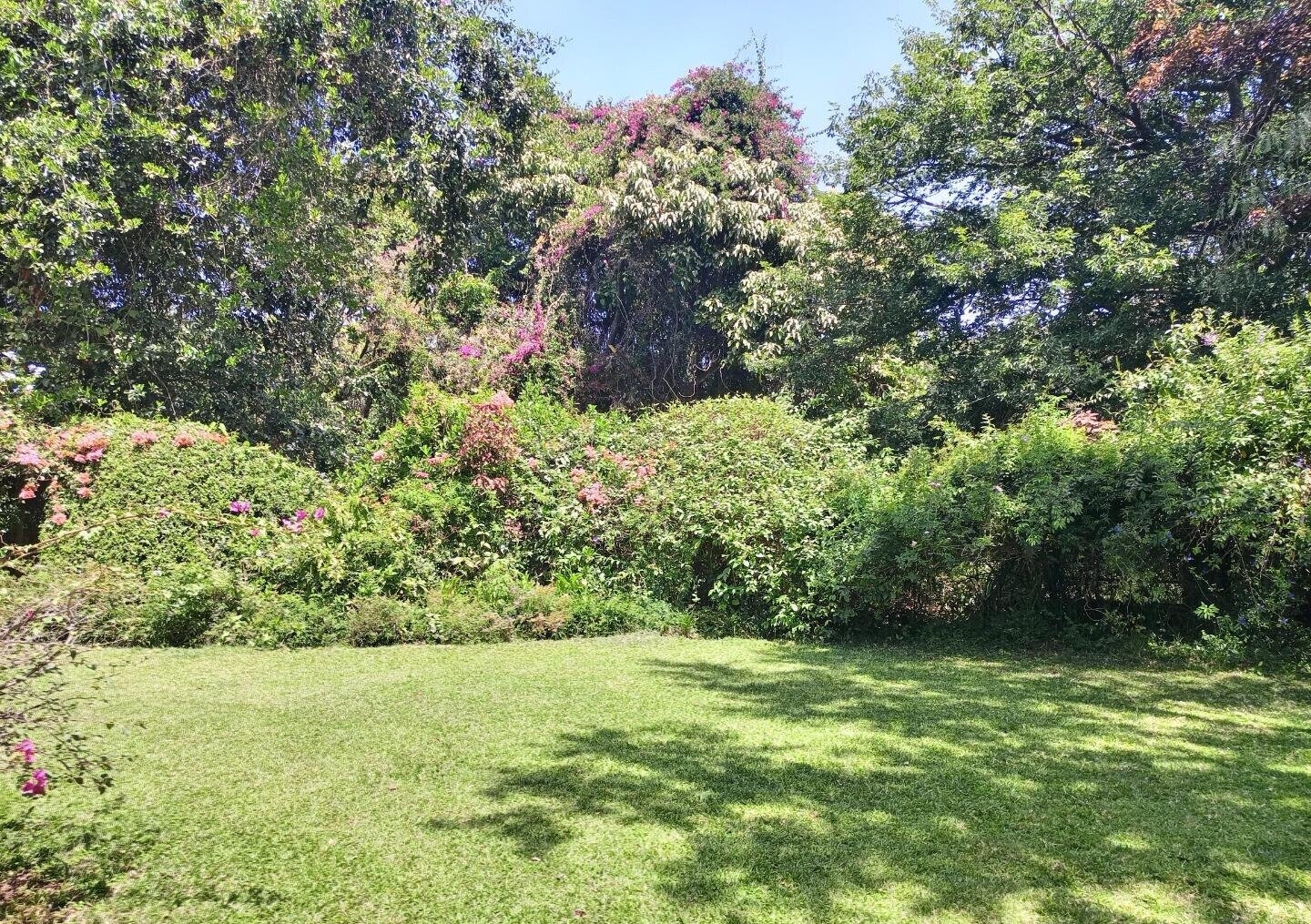 Half Acre 4BR Haven for KSh 580K