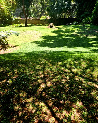 1.178 Acre Muthaiga Plot with Garden