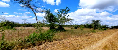 Half Acre Garden Plot in Lukenya