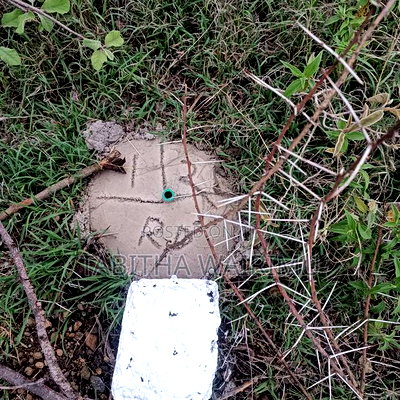 Juja Plots for Sale - Image 4