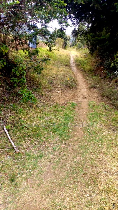 1/2 Acre on Sale at Kenton Naivasha - Image 5