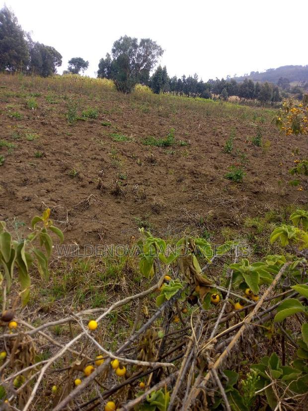 1/2 Acre on Sale at Kenton Naivasha