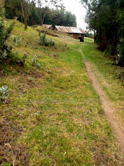 1/2 Acre on Sale at Kenton Naivasha - Image 8