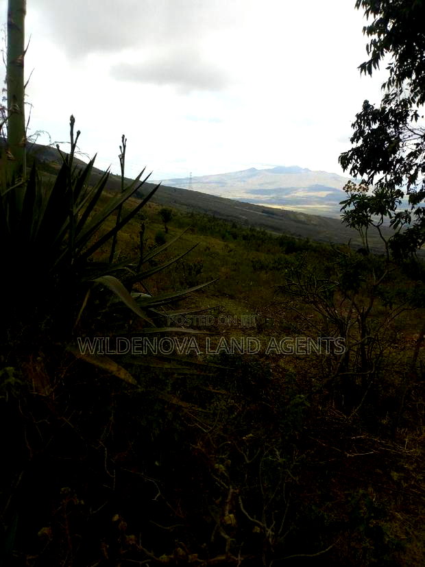 1/2 Acre on Sale at Kenton Naivasha