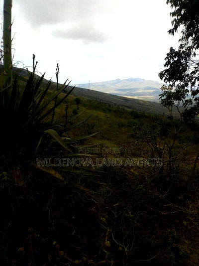 1/2 Acre on Sale at Kenton Naivasha - Image 2
