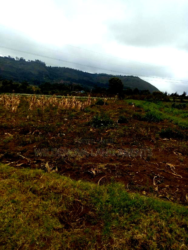 1/2 Acre on Sale at Kenton Naivasha