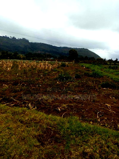 1/2 Acre on Sale at Kenton Naivasha - Image 3