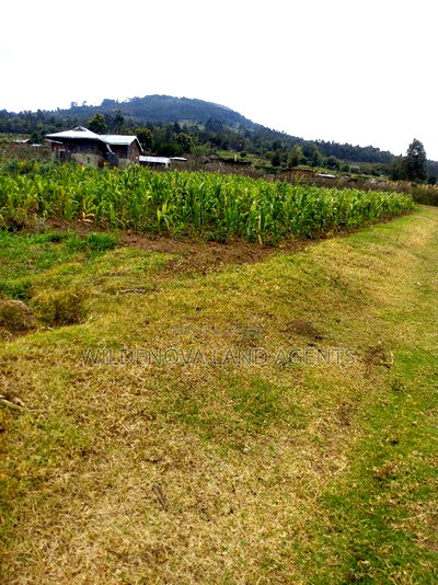 1/2 Acre on Sale at Kenton Naivasha - Image 4