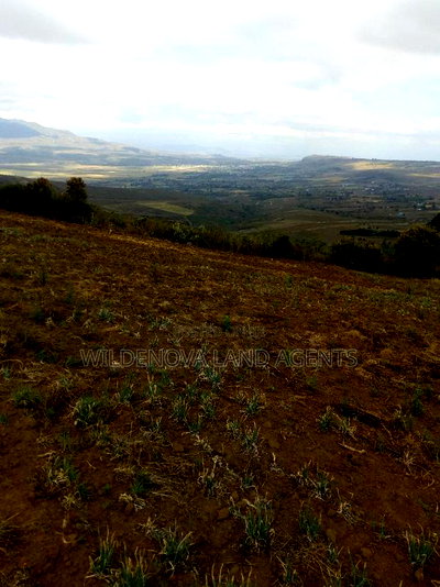 1/2 Acre on Sale at Kenton Naivasha - Image 10