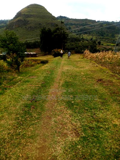 1/2 Acre on Sale at Kenton Naivasha - Image 6