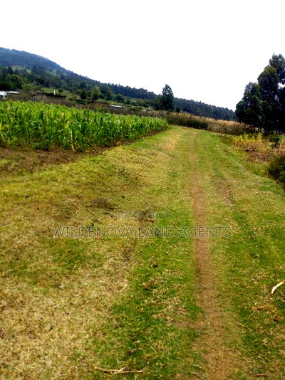 1/2 Acre on Sale at Kenton Naivasha - Image 1
