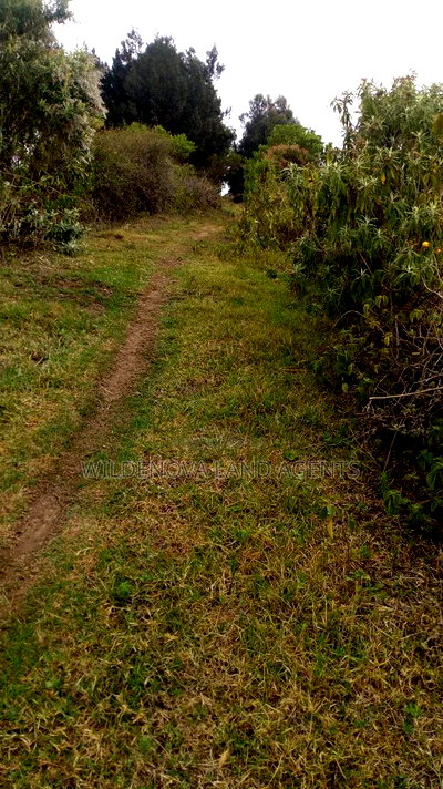 1/2 Acre on Sale at Kenton Naivasha - Image 12