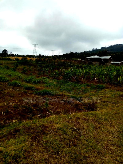 1/2 Acre on Sale at Kenton Naivasha - Image 7