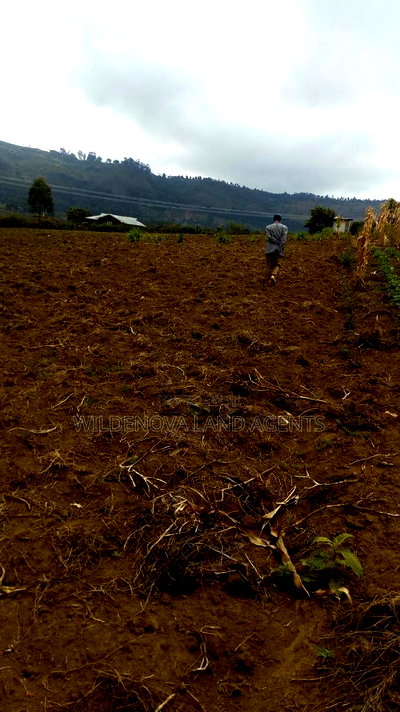 1/2 Acre on Sale at Kenton Naivasha - Image 11