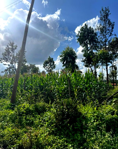1 Acre Plot in Ol Keri for KSh 22M