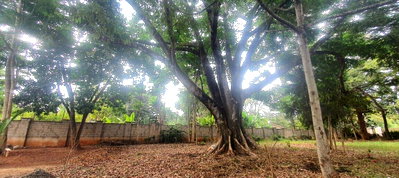 1-Acre Muthaiga Plot at KSh 170M