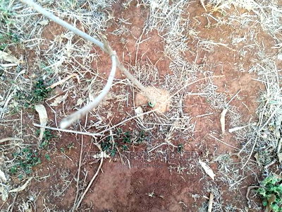 70x100 Prime Plot for Sale in Kikuyu Rusigiti Kiambu County - Image 2