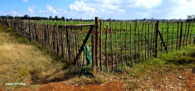Plots for Sale in Kimumu Marura After Bridge in Eldoret - Image 1