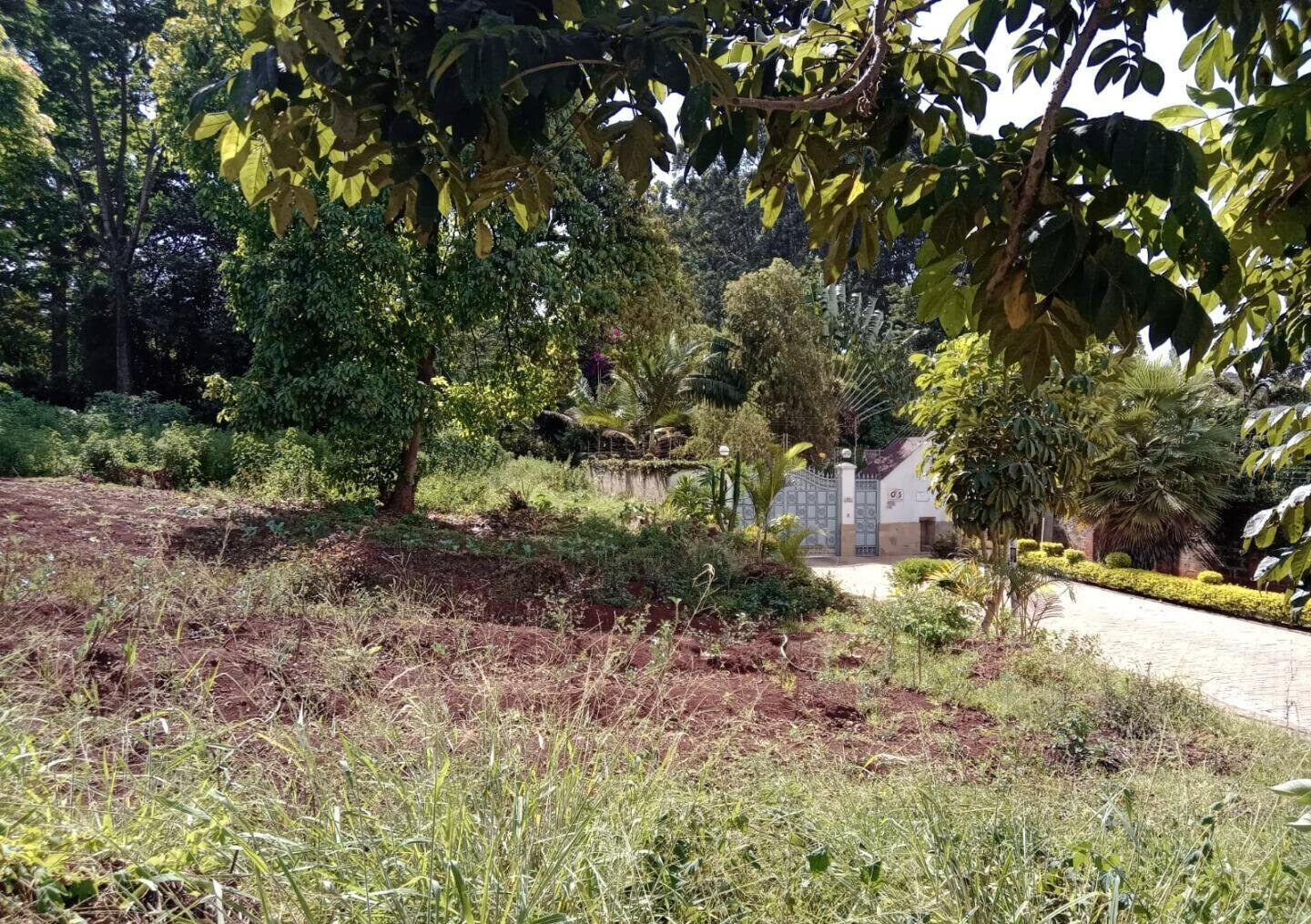 Half Acre Runda Plot at KSh 55M